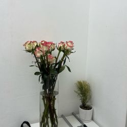 -安那般那皮肤年轻化ANAPANA