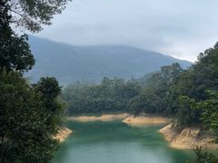 -广州市流溪河国家森林公园
