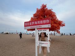 -金梦海湾浴场