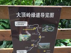 -光明刘冰乳鸽店(光明法政北路店)