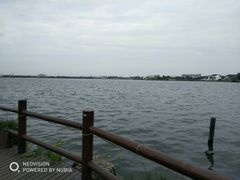 -鹅湖玫瑰文化园