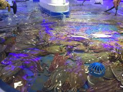 -澜悦港海鲜体验主题餐厅