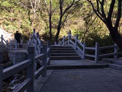 -白草畔自然风景区