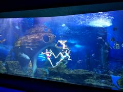 -多彩贵州城极地海洋世界