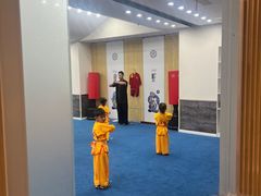 -新精武·少儿武术散打(繁花店)