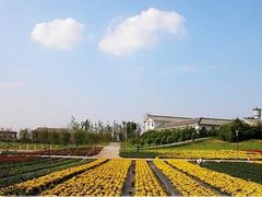 -三圣花乡旅游区