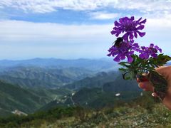 -白草畔自然风景区