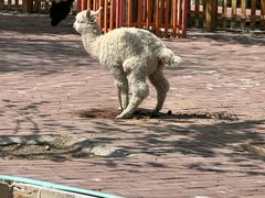 -水上乐园·欢乐世界