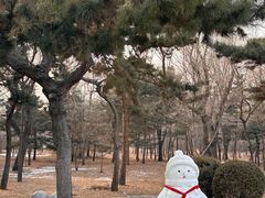 -北陵公园