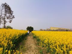 -中国天府农业博览园