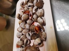 血蛤-华盛丰温州大排档(东三环南路店)