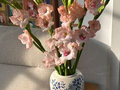 -浙江农林大学(东湖校区)