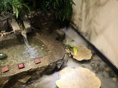 -九田家黑牛烤肉料理(长春路友好店)