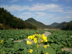 -广州市石门国家森林公园