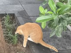 -万寿八仙宫