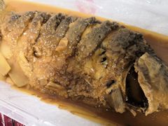-阿五黄河大鲤鱼(英协路店)