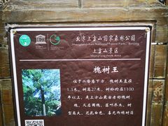-上方山云水洞