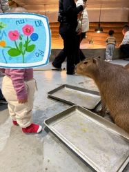 -Zoolung Zoolung动物主题公园(海信广场店)