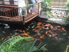 景观位-优之名鹅城