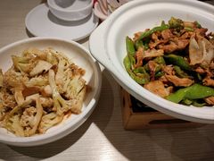 -九毛九西北菜(百信广场店)