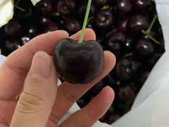-菜园坝水果市场