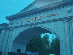-哈素海