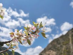 -叠溪松坪沟景区