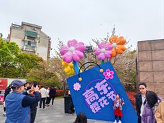 -高东镇樱花园
