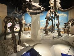 -国家自然博物馆