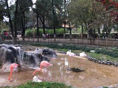 -昆明动物园