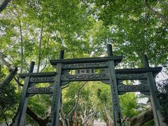 -杭州黄龙洞