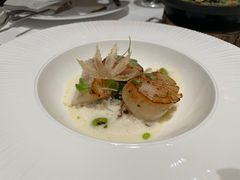 大西洋海鲈鱼-福楼法餐厅FLO