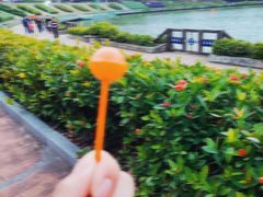 -东莞植物园