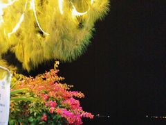-鹏城人家海鲜酒家·23年老字号(较场尾店)