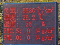 -五营红松林海景区