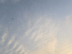 -百林公园-两江幸福广场