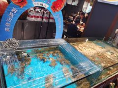 -魏铭鱼头捞饭(晋阳路店)