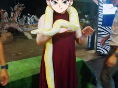 -清迈夜间动物园