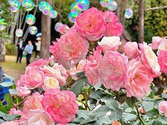 -人民公园(罗湖区)