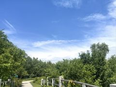 -昆山城市生态森林公园