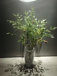 -美壹生皮肤管理中心