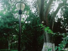 -玲珑塔公园