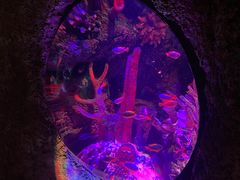 -沈阳海洋探索中心