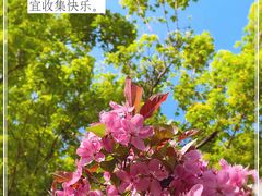 -国家植物园南园