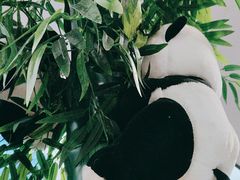 -川湘蓝天海鲜