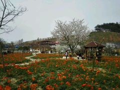 -绵阳盛世樱花悠乐谷