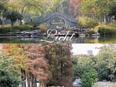 -四海公园(南山区)