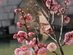 -桃花岛风景旅游区
