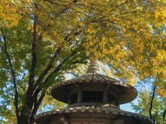 -玲珑塔公园