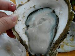 android_upload_pic-蚝专家(北滘店)